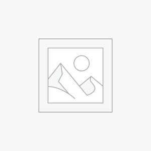 Downloadable Product